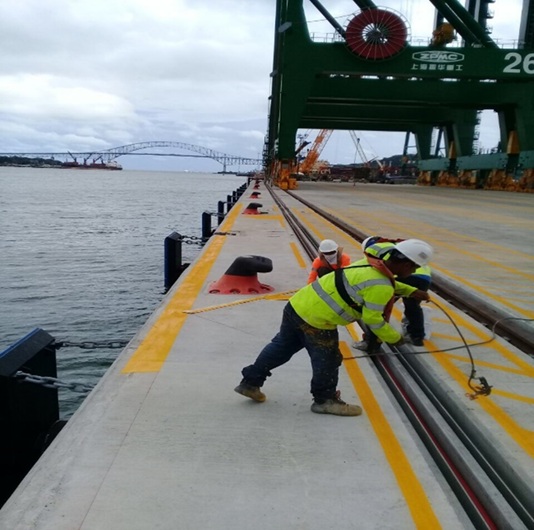 JAN DE NUIL - imagen 6